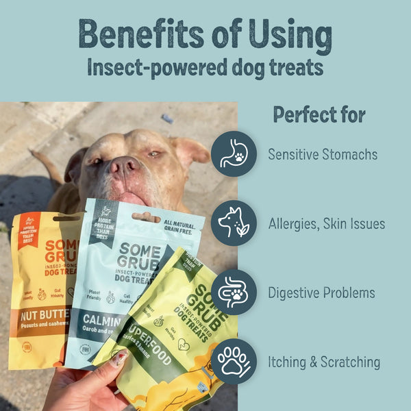 Calming Carob and Orange Dog Treats