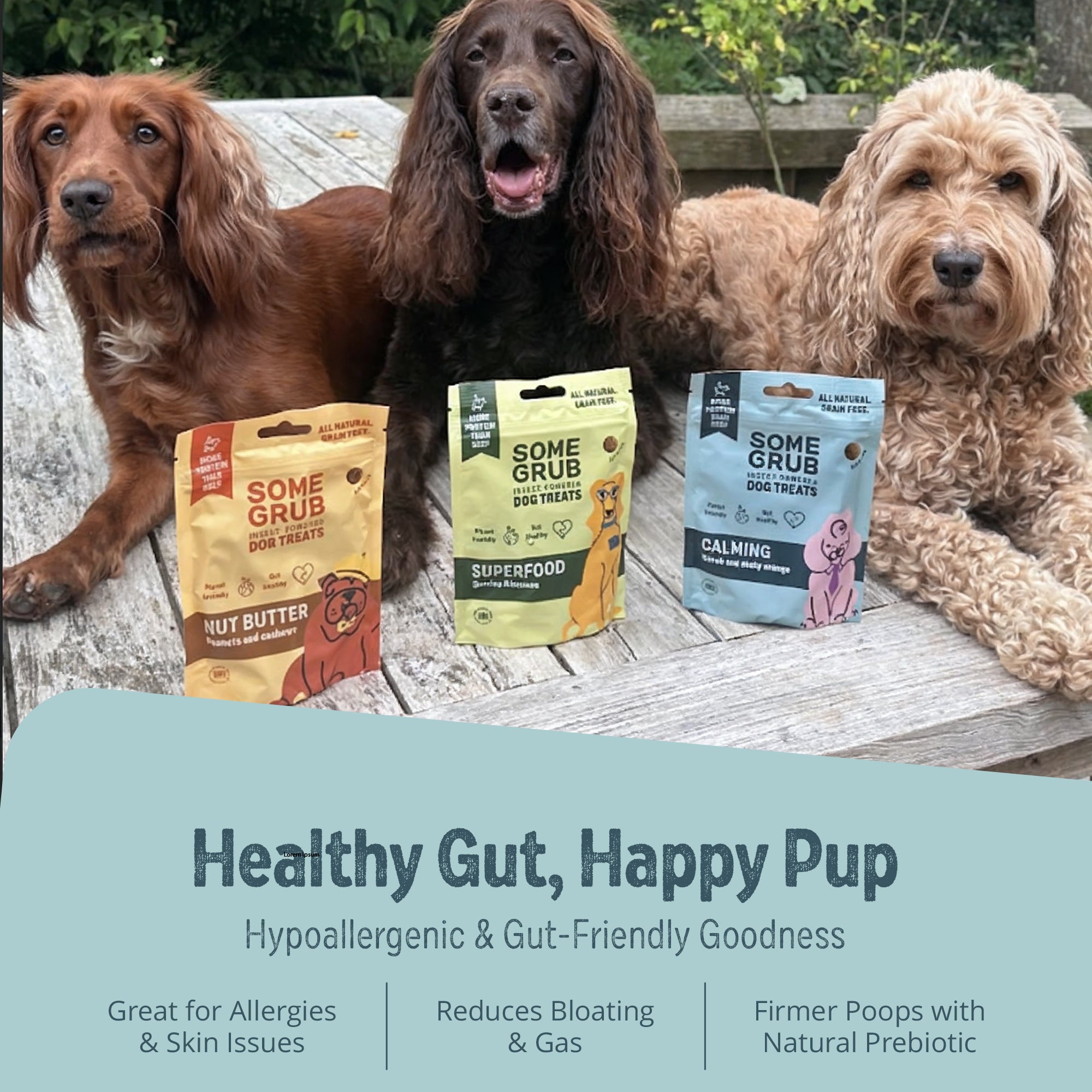 Calming Carob and Orange Dog Treats