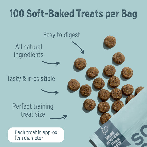 Calming Carob and Orange Dog Treats