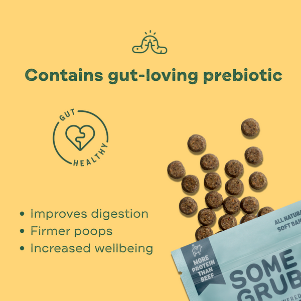 Calming Carob and Orange Dog Treats