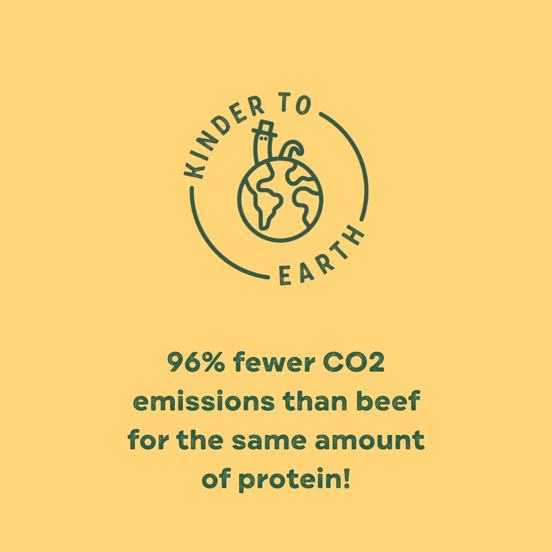 Calming Carob and Orange Dog Treats