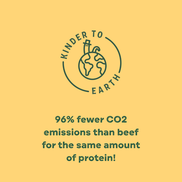 Mixed Dog Treat Bundle x6 - Calming Carob, Superfood Berry & Nut Butter