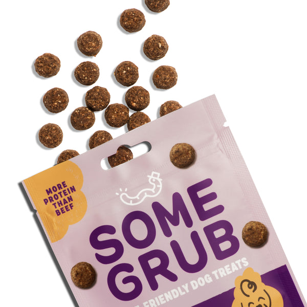 Calming Carob and Orange Dog Treats