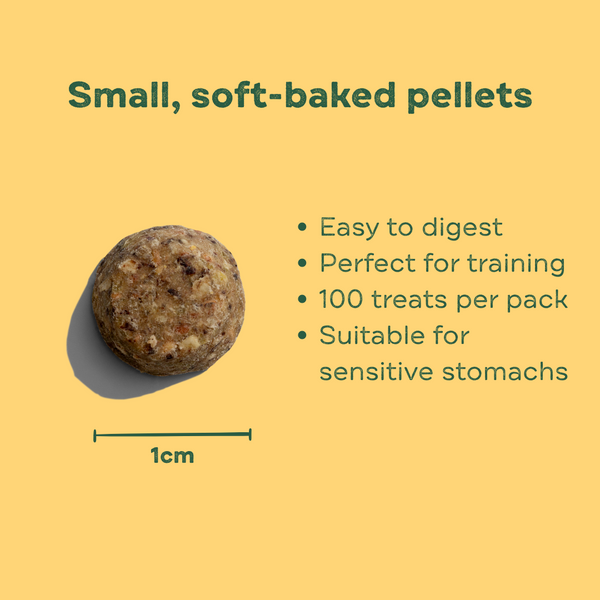 Mixed Dog Treat Bundle x6 - Calming Carob, Superfood Berry & Nut Butter