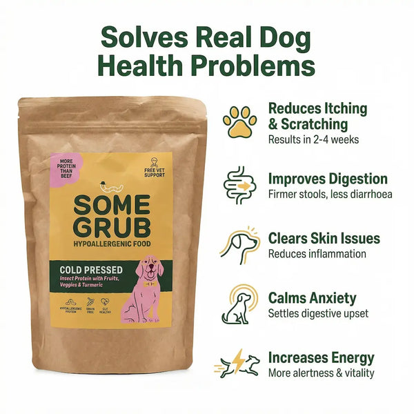 Hypoallergenic Dry Food Sample - 200g Trial Pack