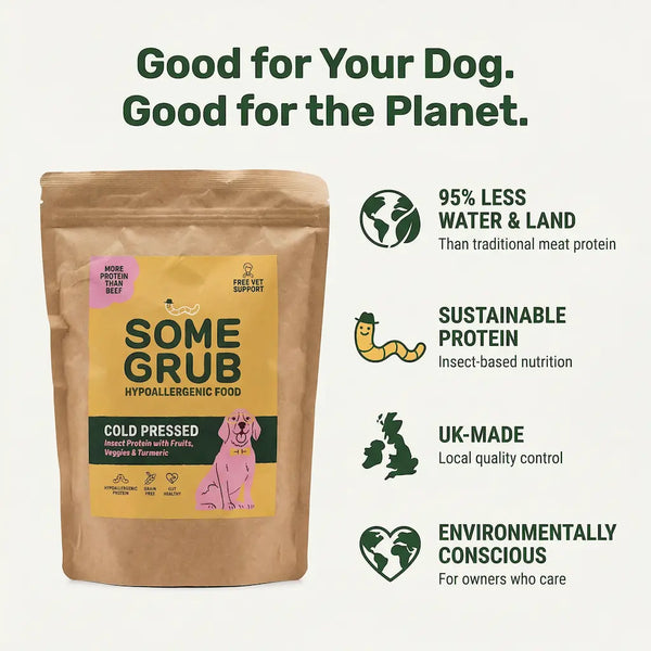 Hypoallergenic Dry Food Sample - 200g Trial Pack