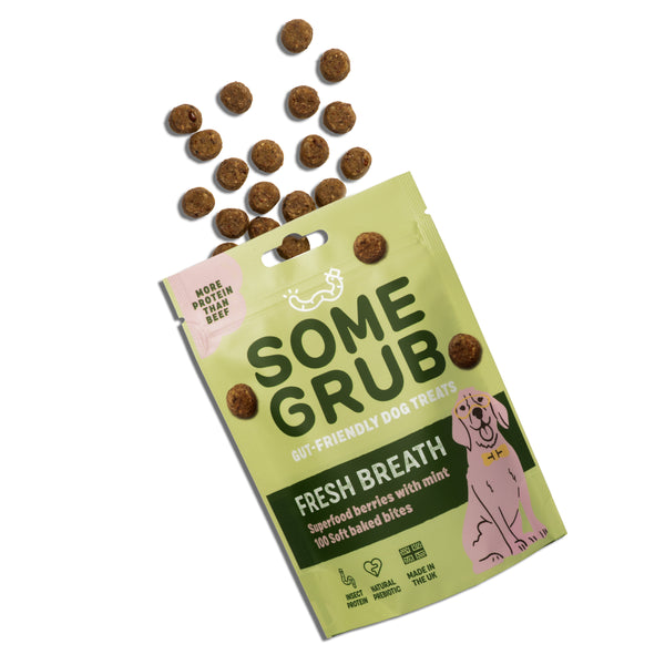 Superfood Berry Mix Dog Treats