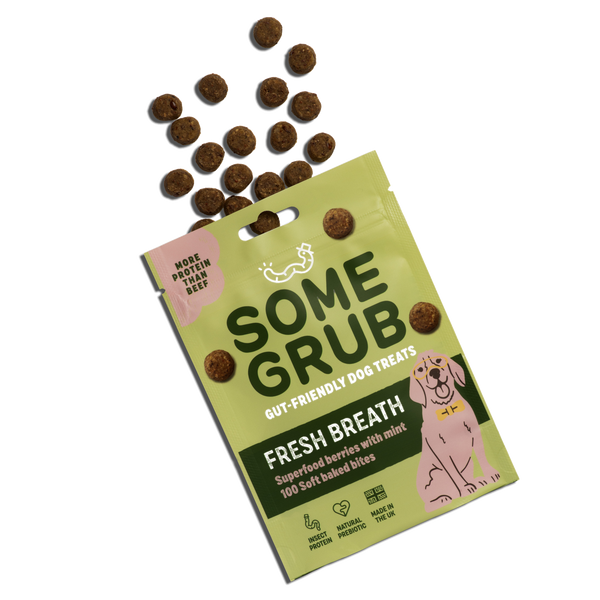 Superfood Berry Mix Dog Treats