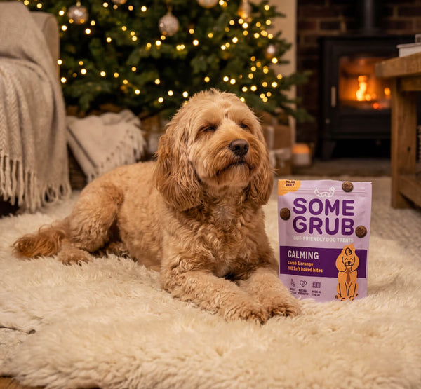 Mixed Dog Treat Bundle x6 - Calming Carob, Superfood Berry & Nut Butter