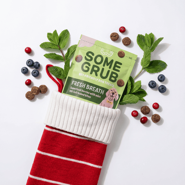 Mixed Dog Treat Bundle x6 - Calming Carob, Superfood Berry & Nut Butter