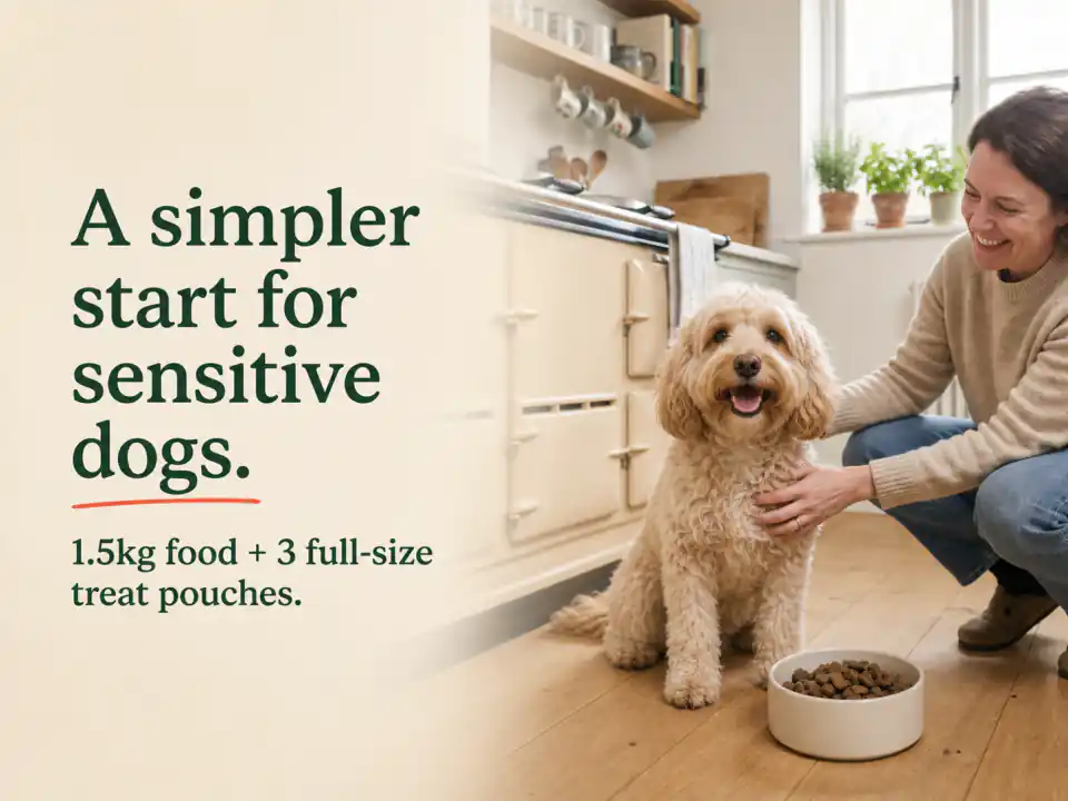 A happy dog and owner in a bright kitchen beside a bowl of Some Grub