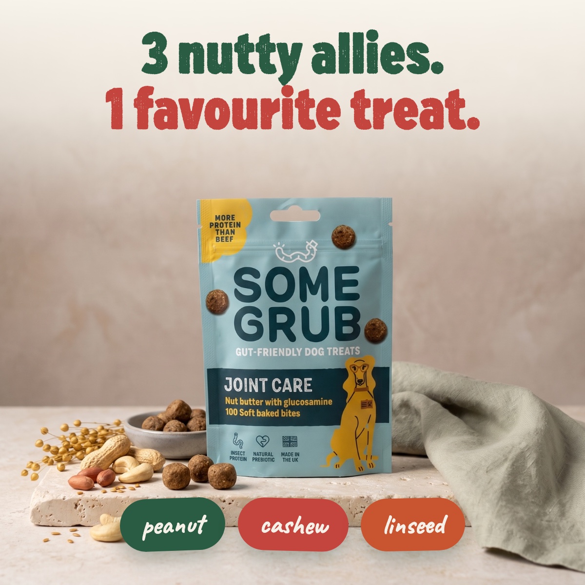3 nutty allies — the Joint Care pouch with peanuts, cashews and omega-3 linseed