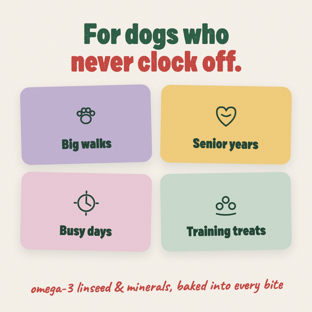 For dogs who never clock off — walks, senior years, busy days, training