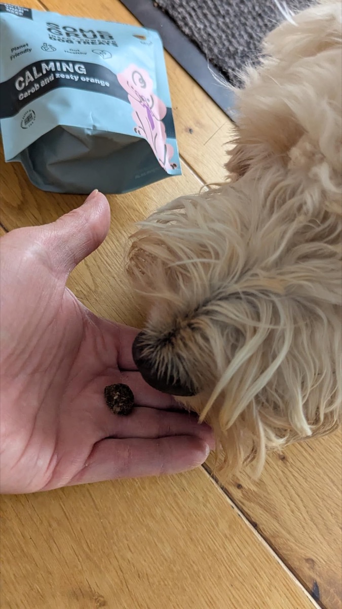 Edison's dog with Some Grub
