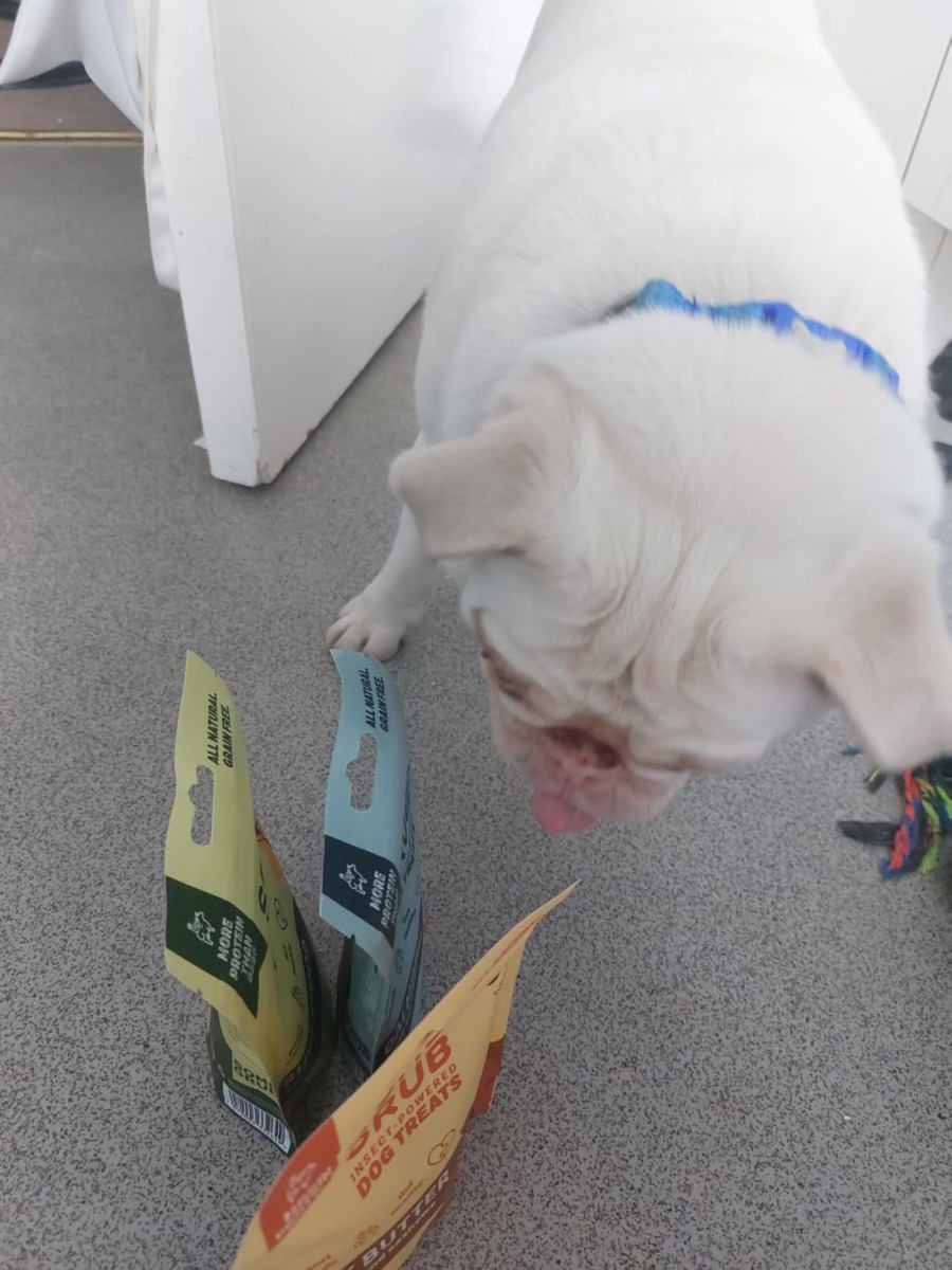 P's dog with Some Grub