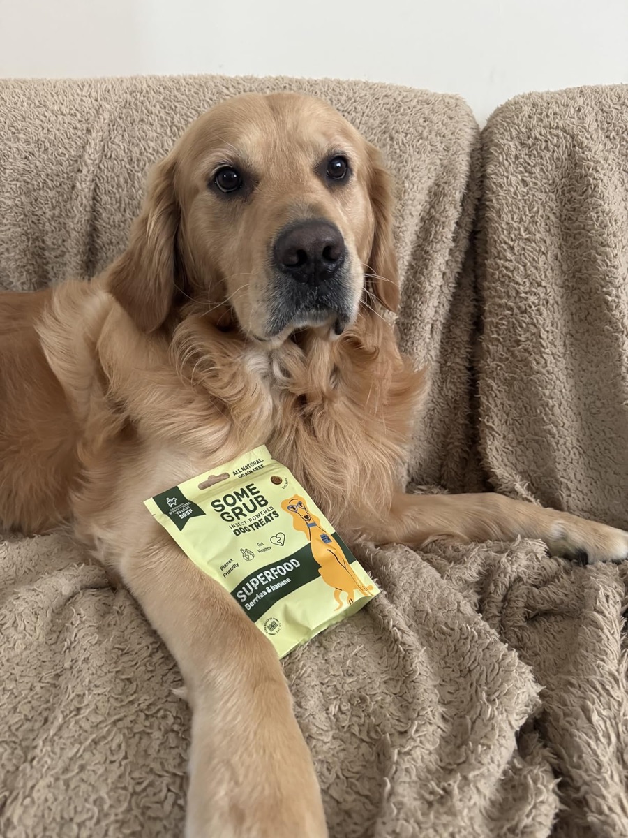 Amazon Customer's dog with Some Grub